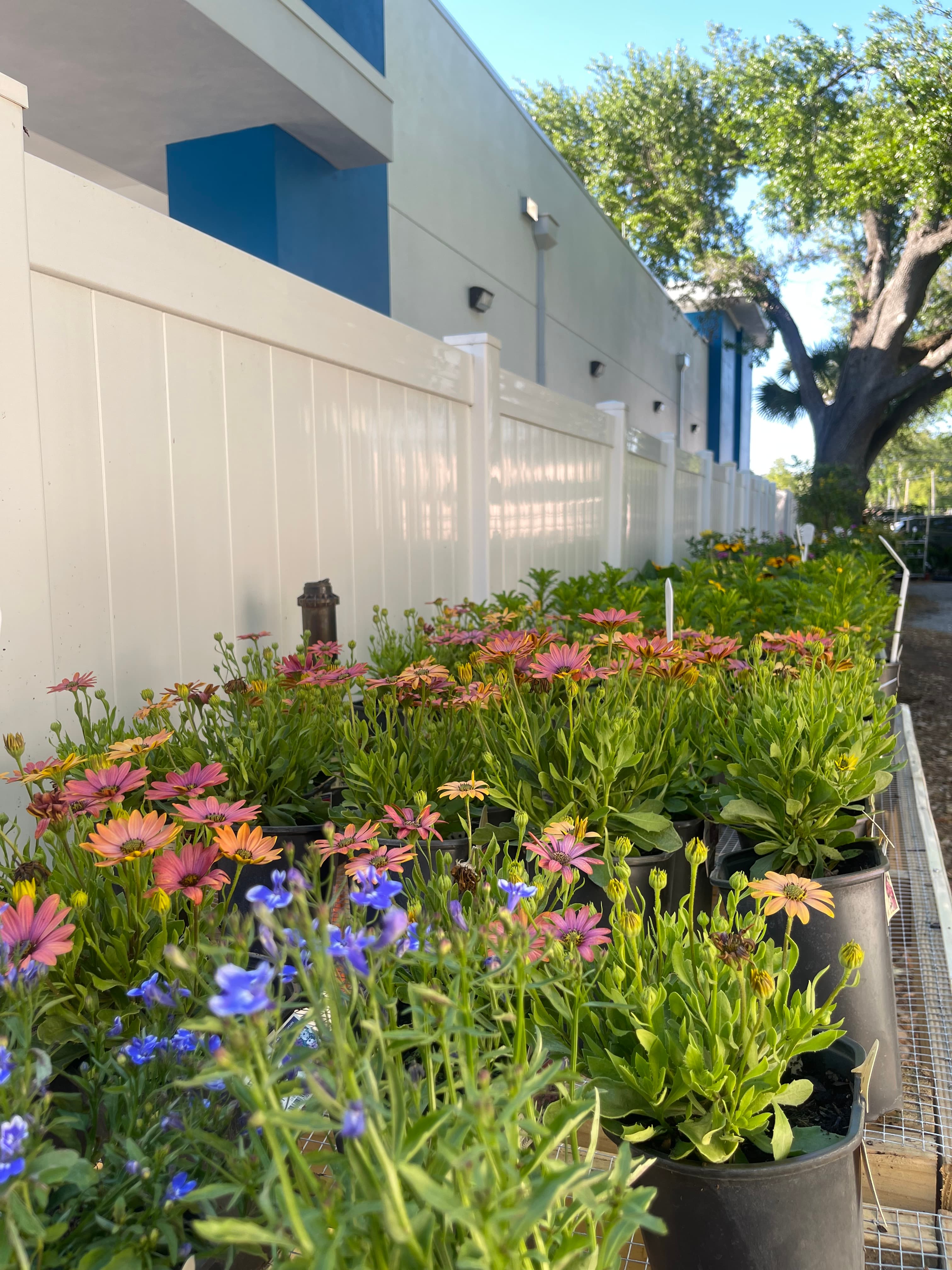 Grown In Dirt Garden Shop Gallery Photo 10