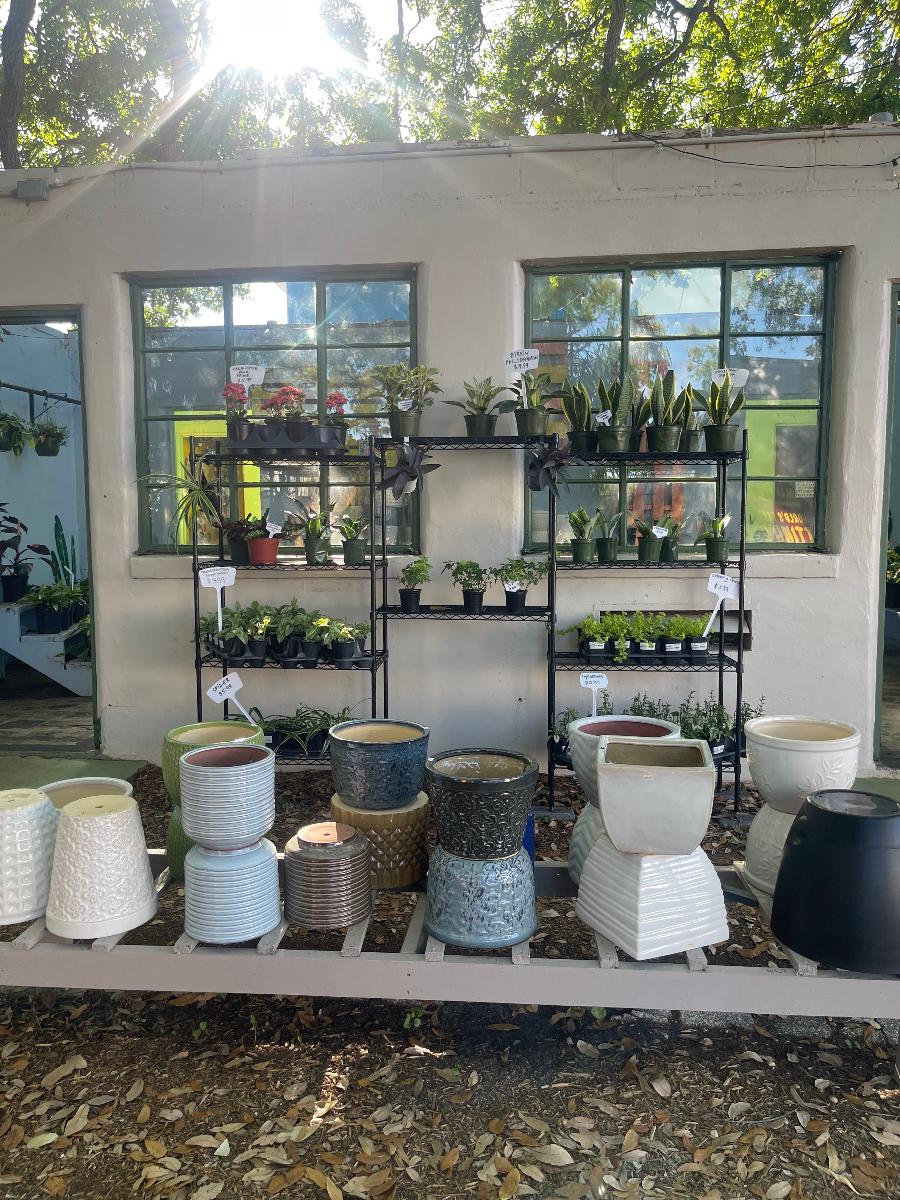 Grown In Dirt Garden Shop Gallery Photo 11