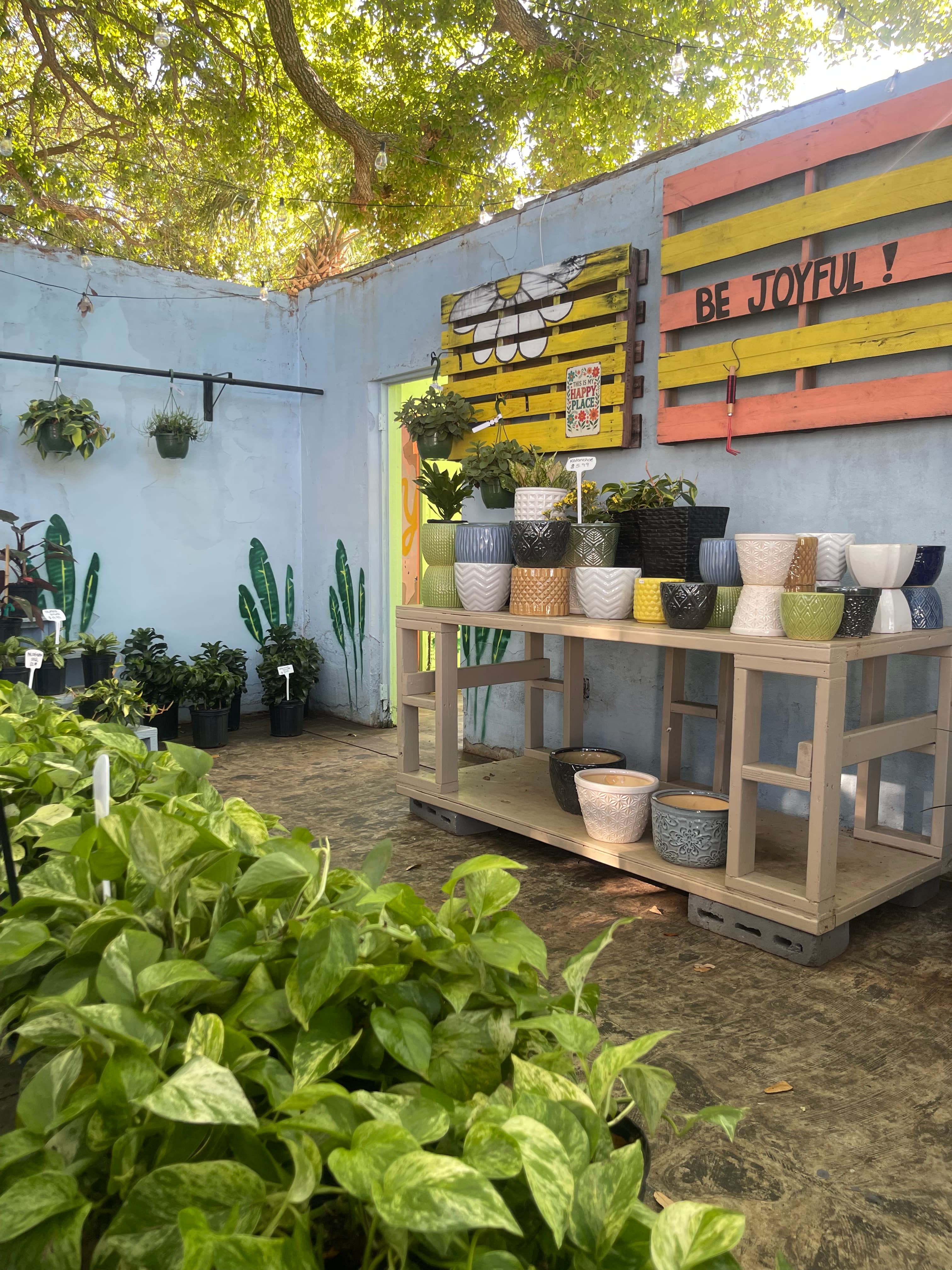 Grown In Dirt Garden Shop Gallery Photo 13