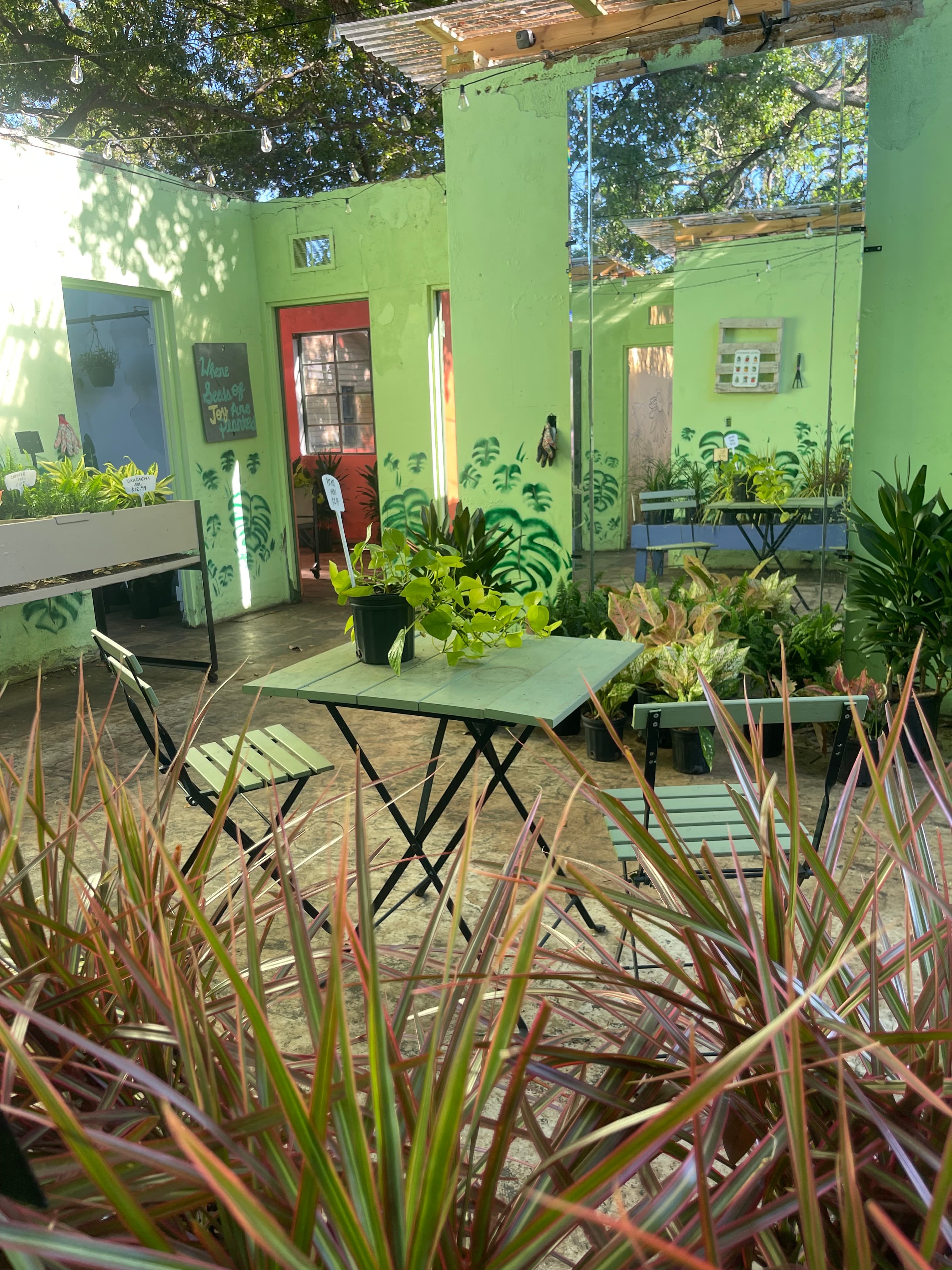 Grown In Dirt Garden Shop Gallery Photo 14