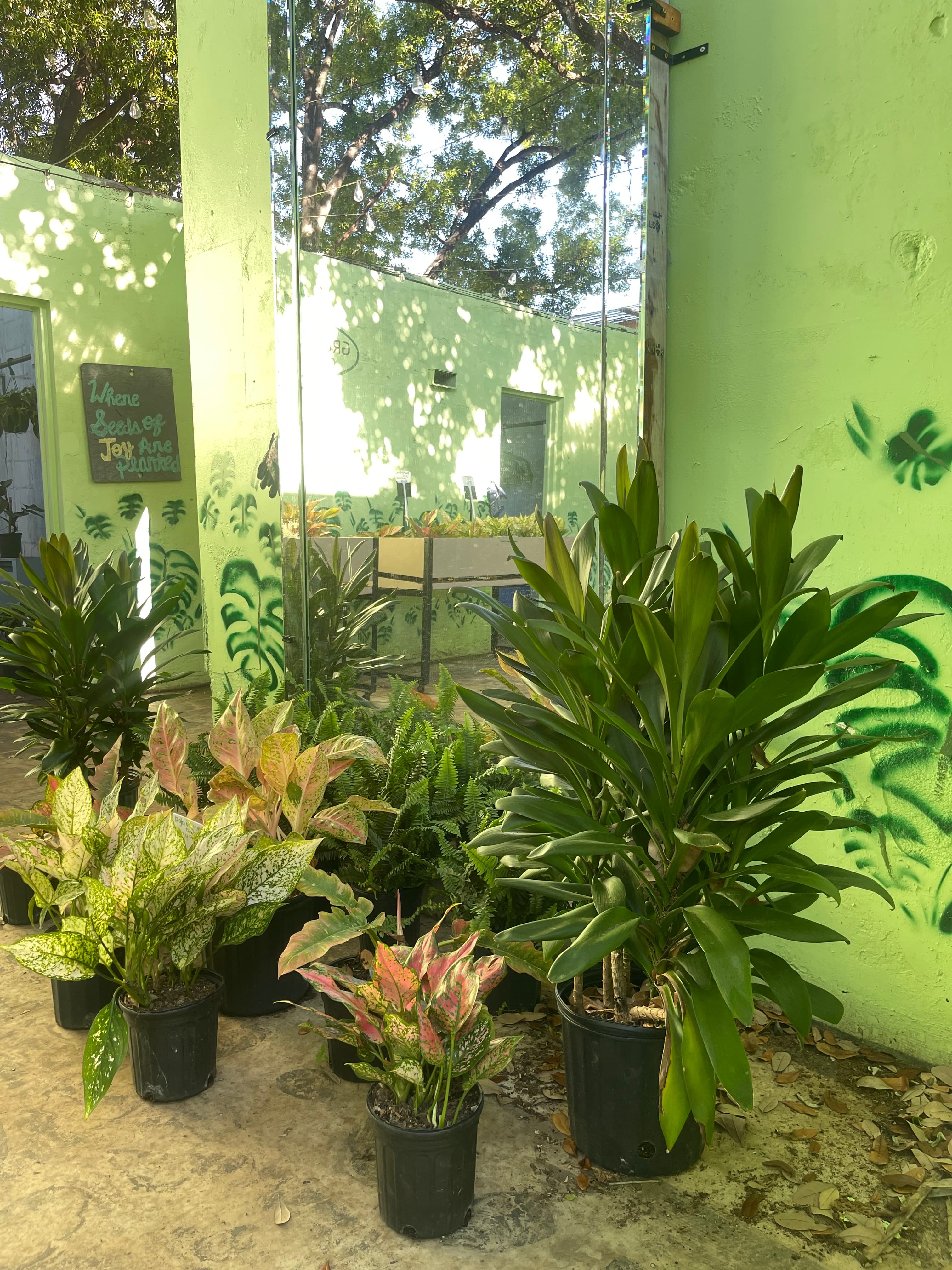 Grown In Dirt Garden Shop Gallery Photo 15