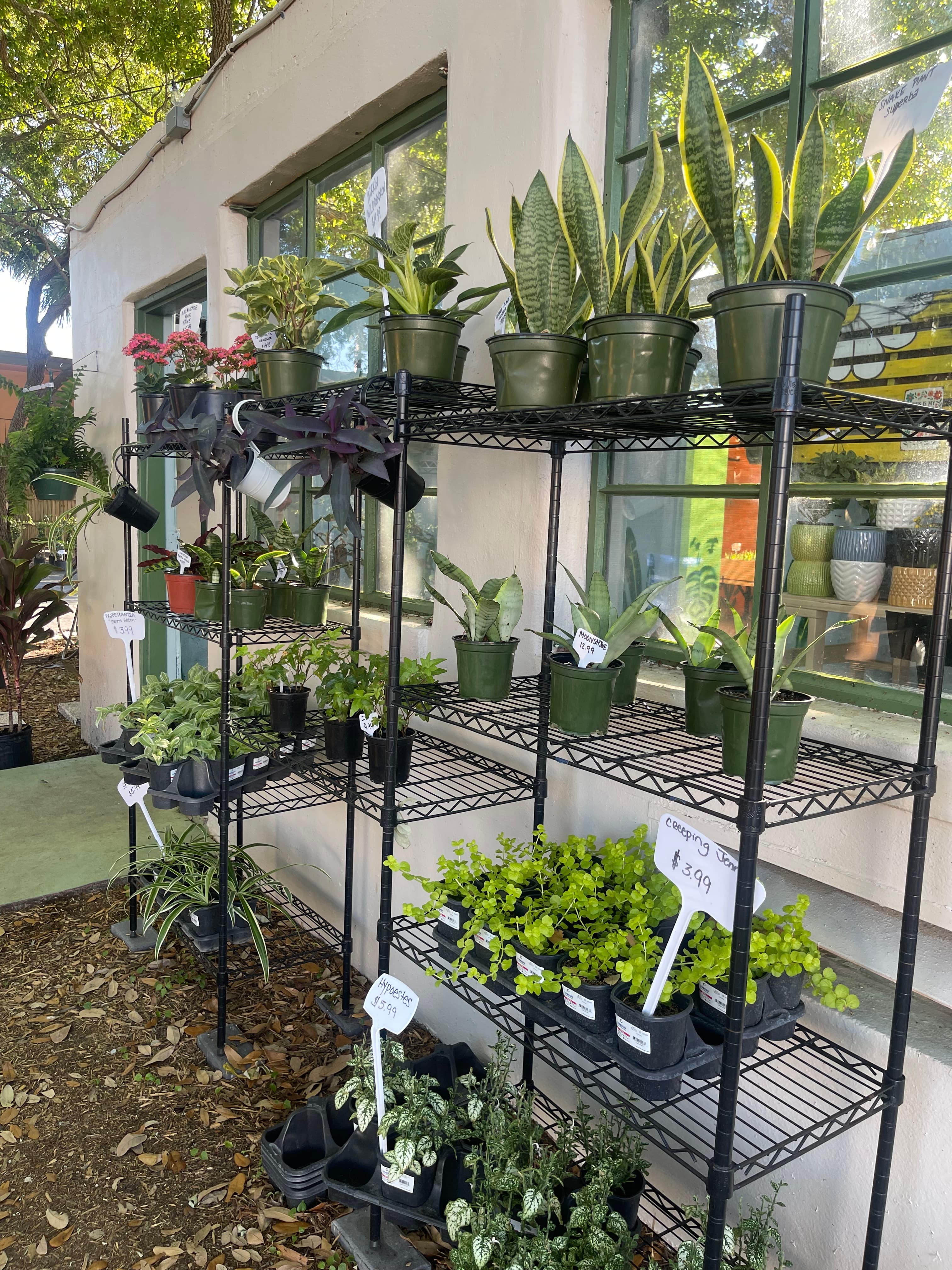 Grown In Dirt Garden Shop Gallery Photo 16