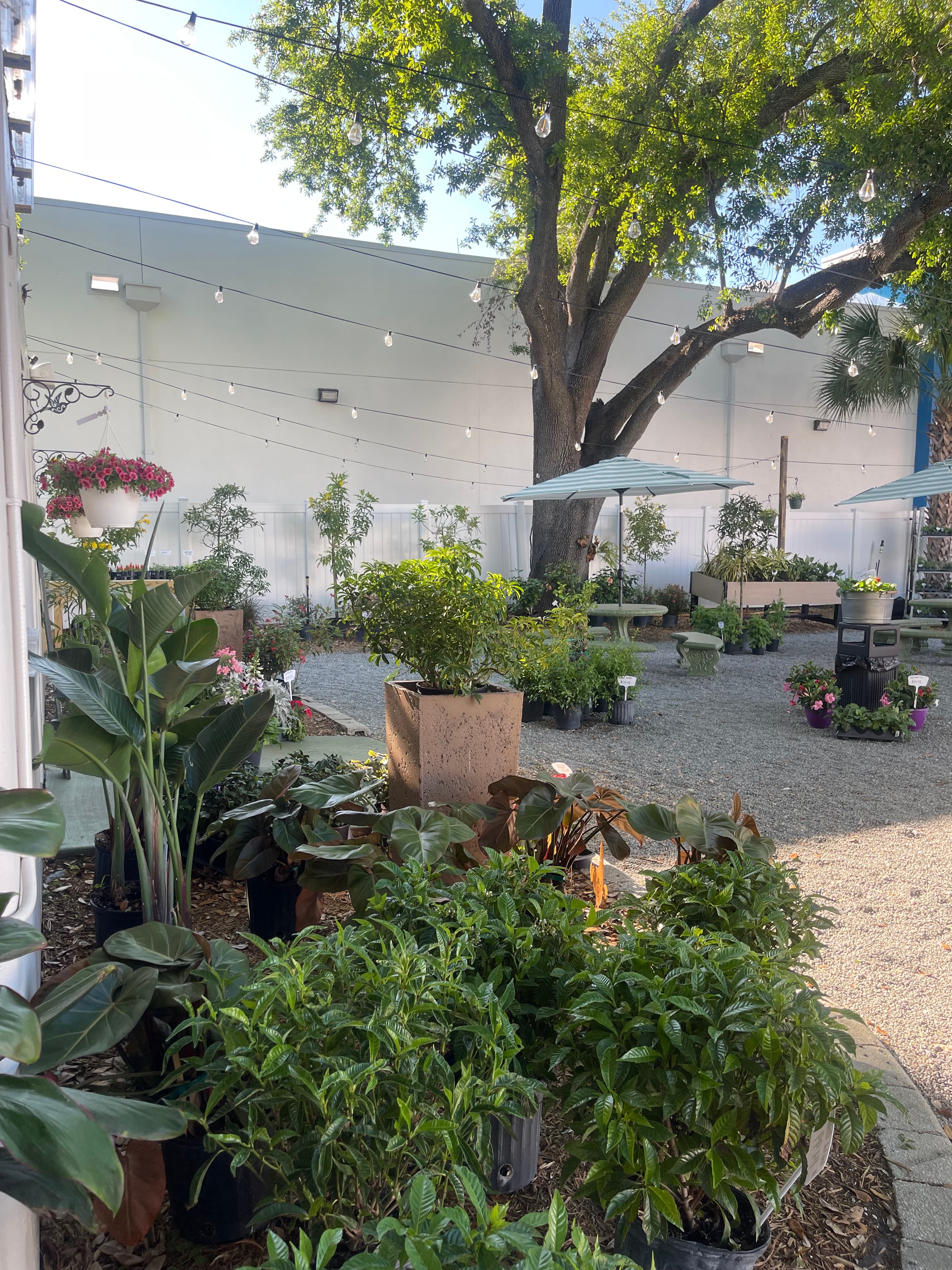 Grown In Dirt Garden Shop Gallery Photo 18