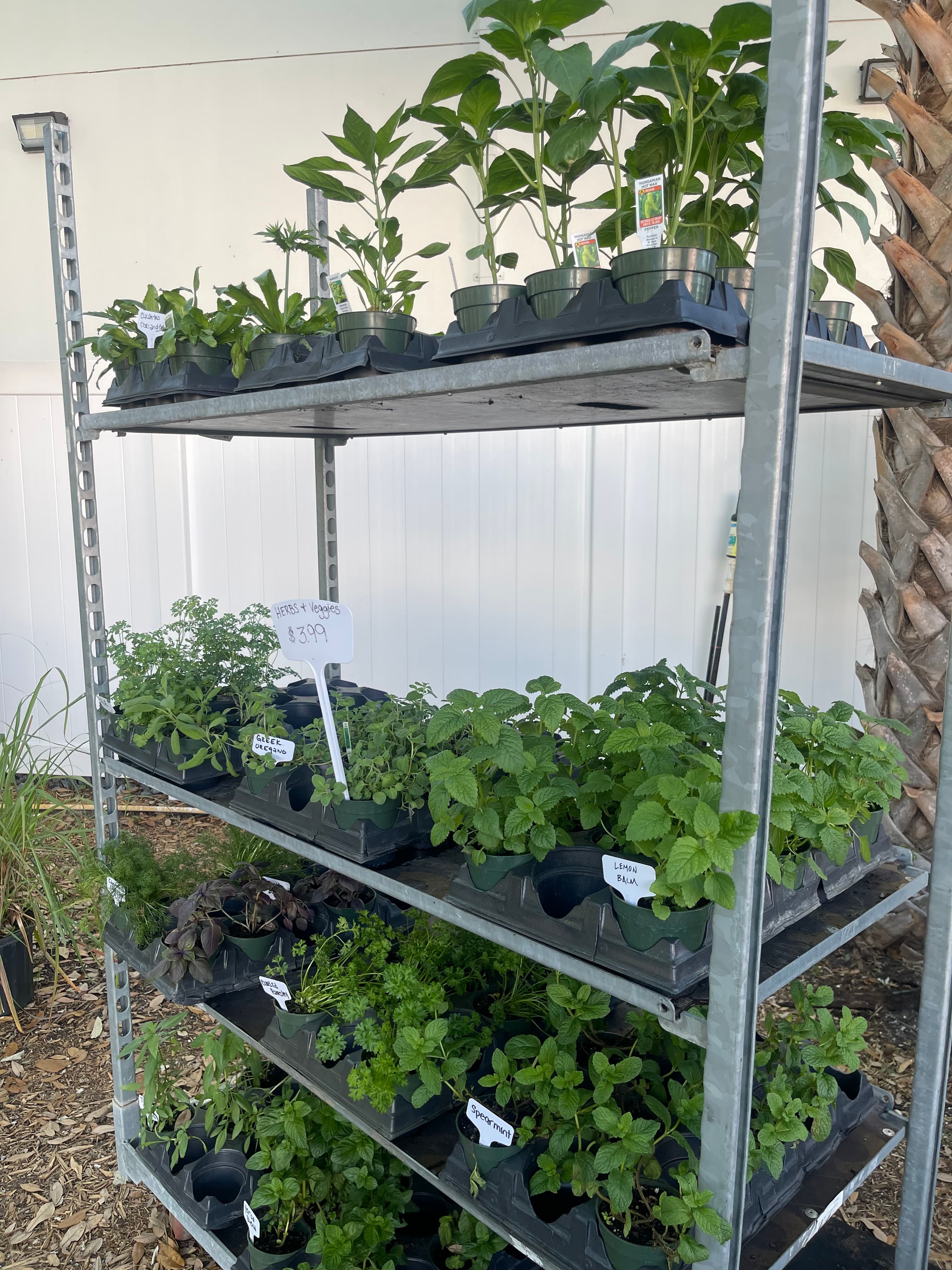 Grown In Dirt Garden Shop Gallery Photo 2