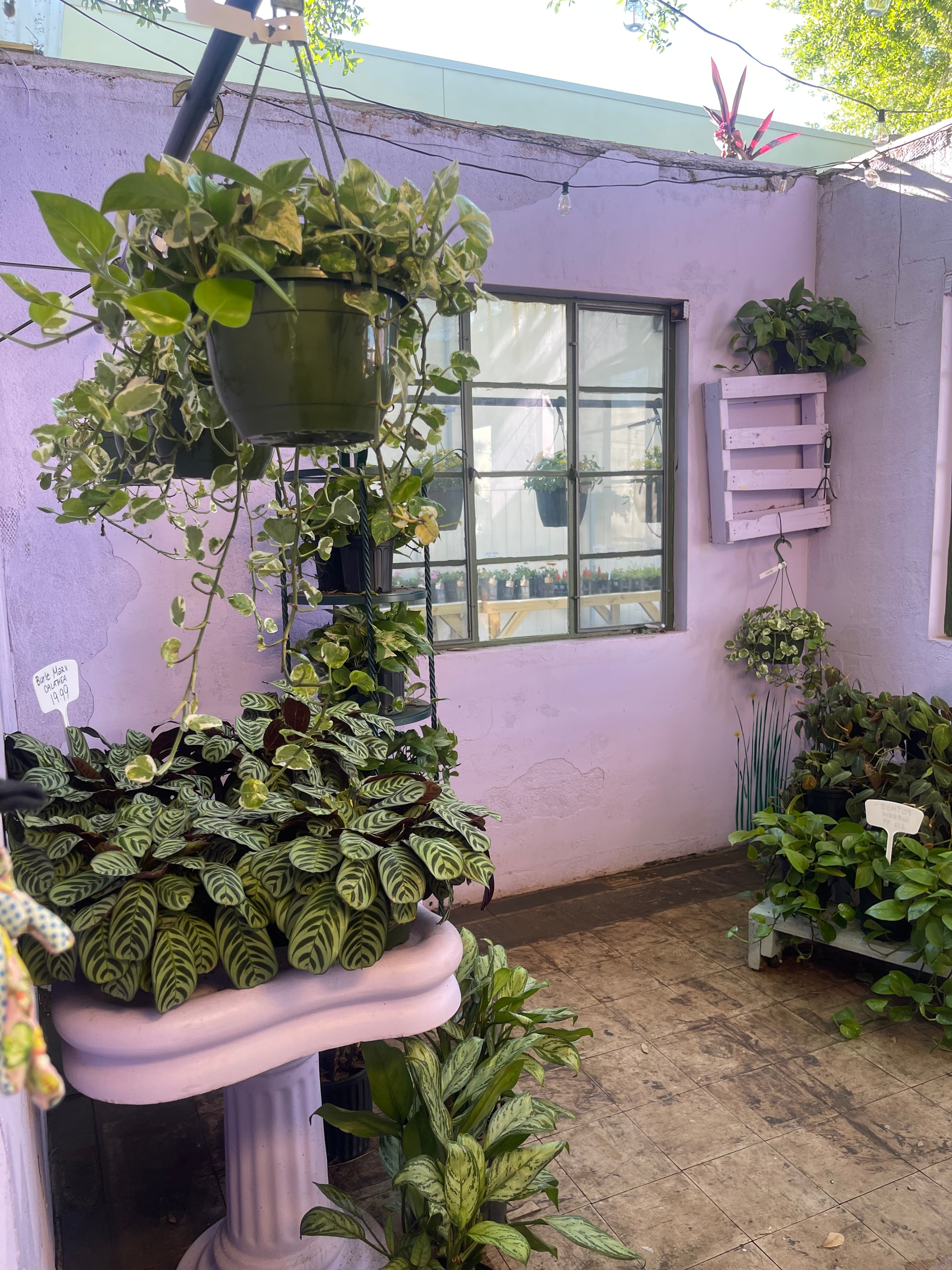 Grown In Dirt Garden Shop Gallery Photo 20