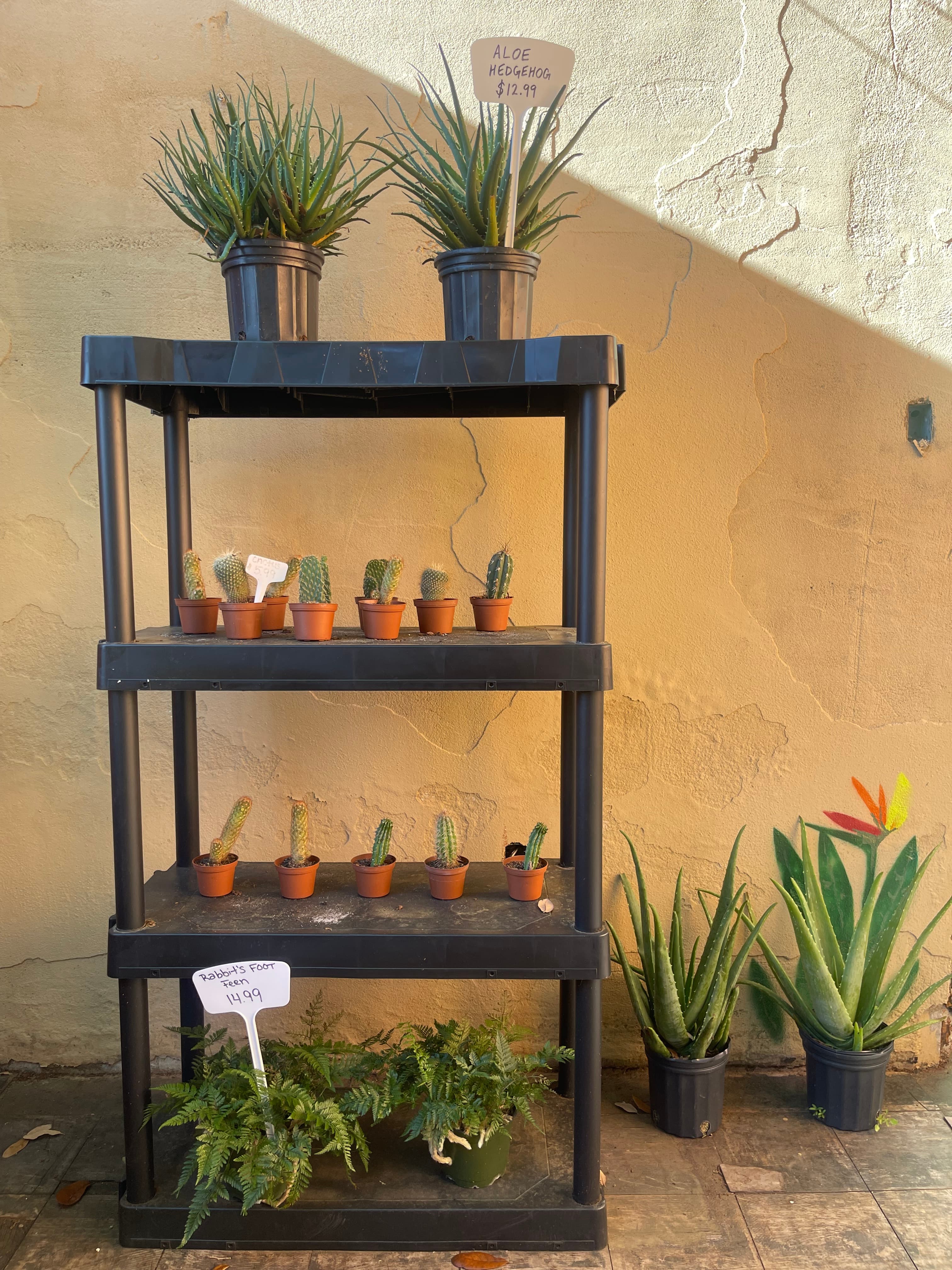 Grown In Dirt Garden Shop Gallery Photo 21