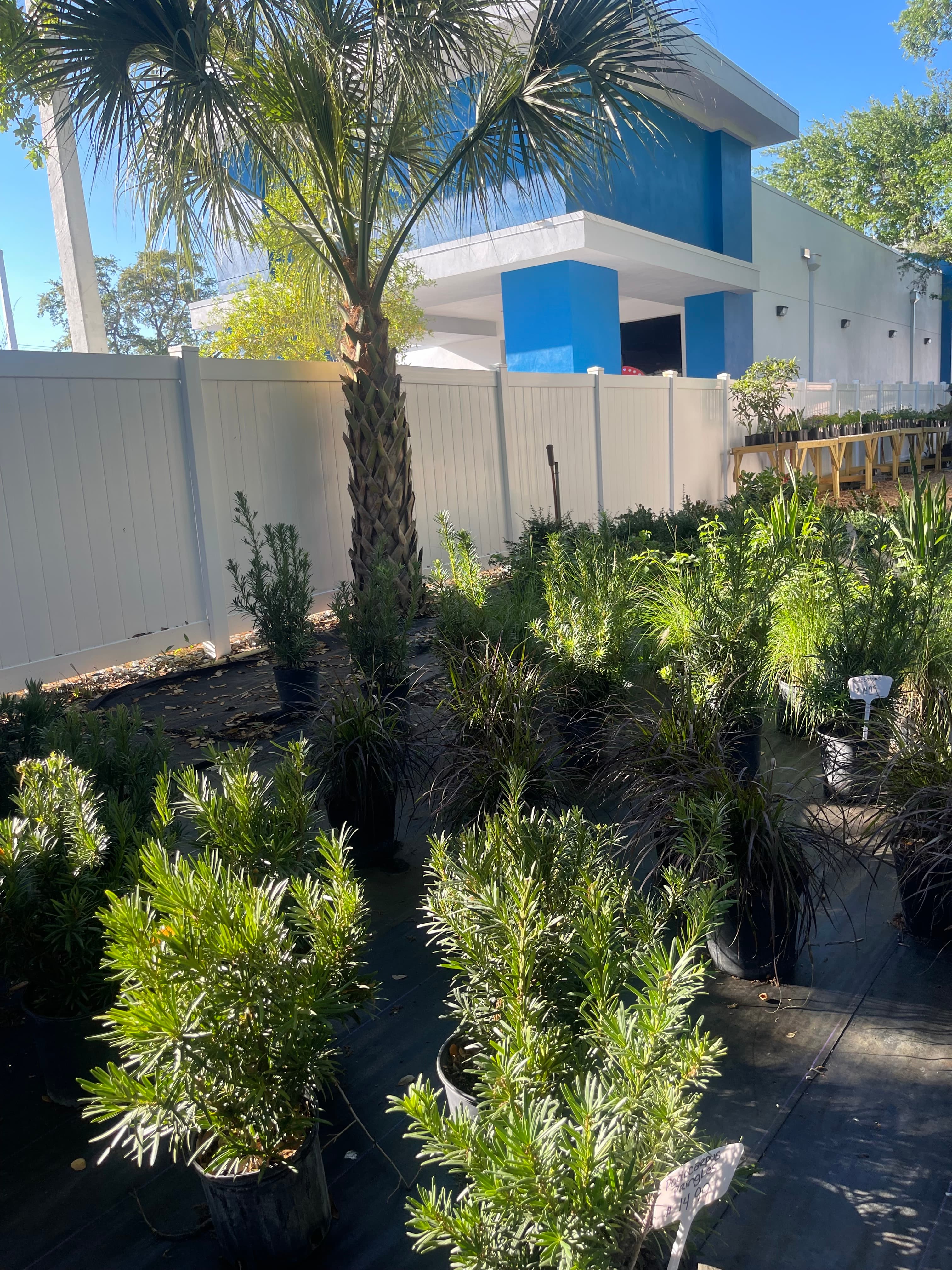 Grown In Dirt Garden Shop Gallery Photo 22