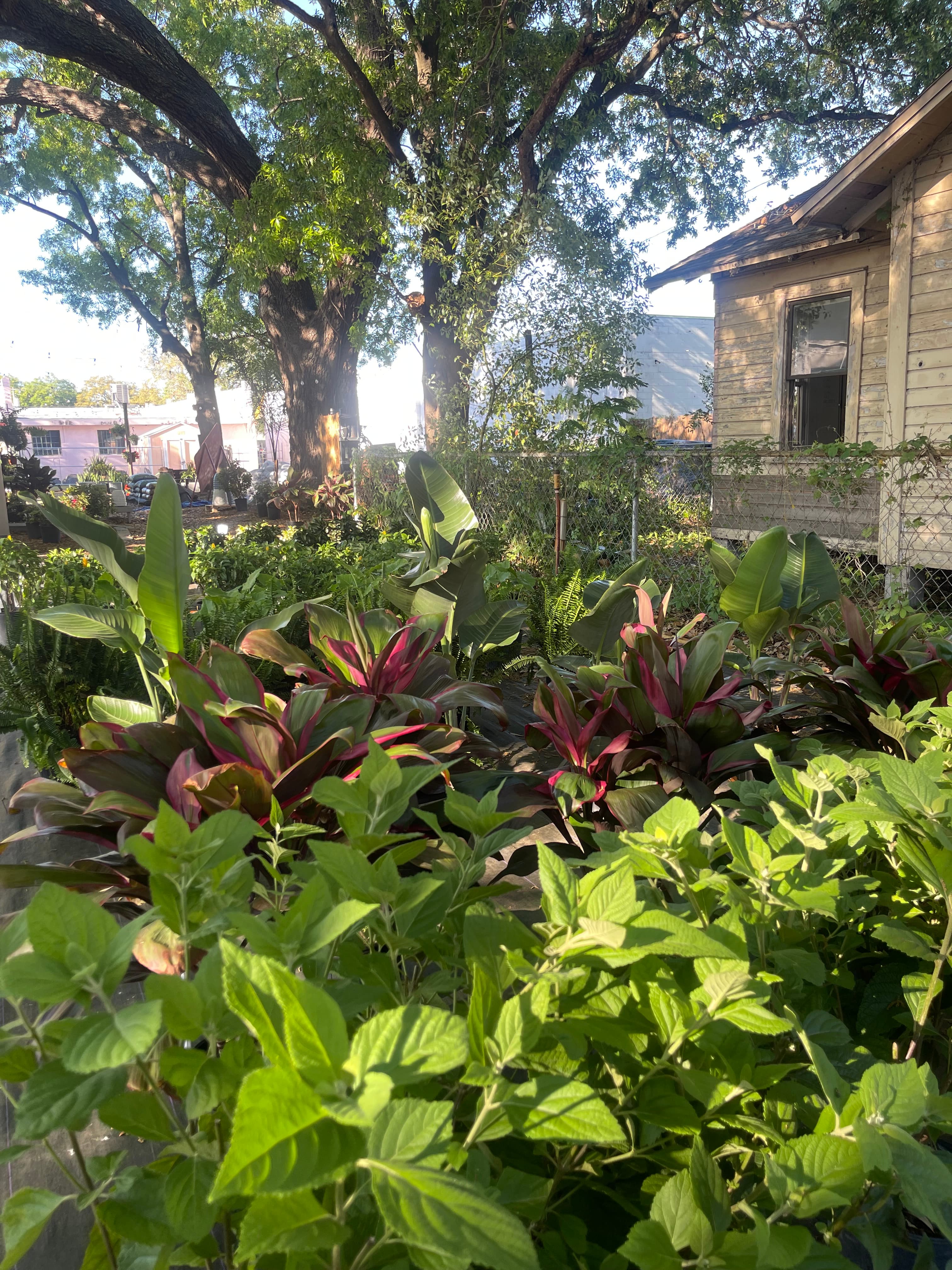 Grown In Dirt Garden Shop Gallery Photo 23