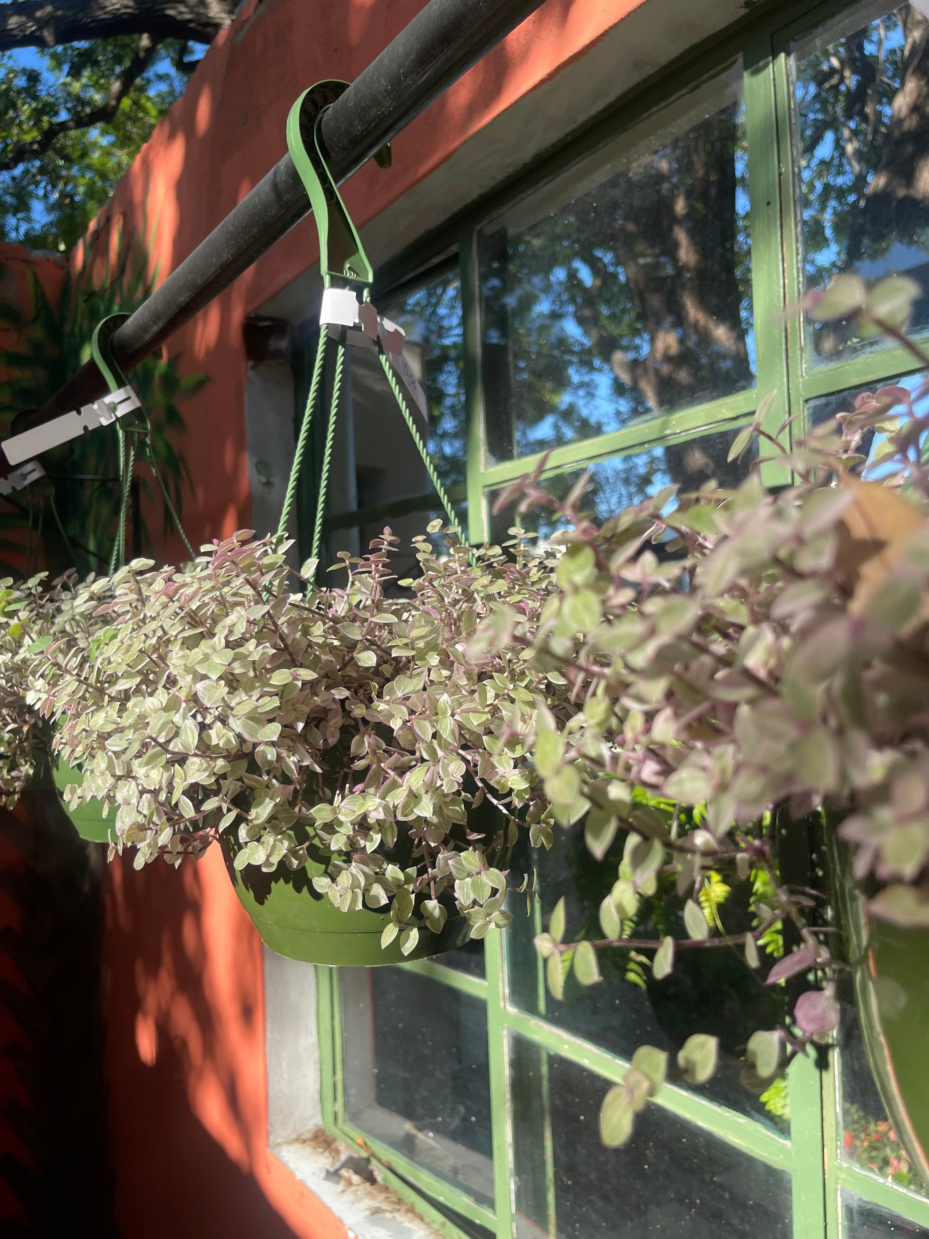 Grown In Dirt Garden Shop Gallery Photo 24