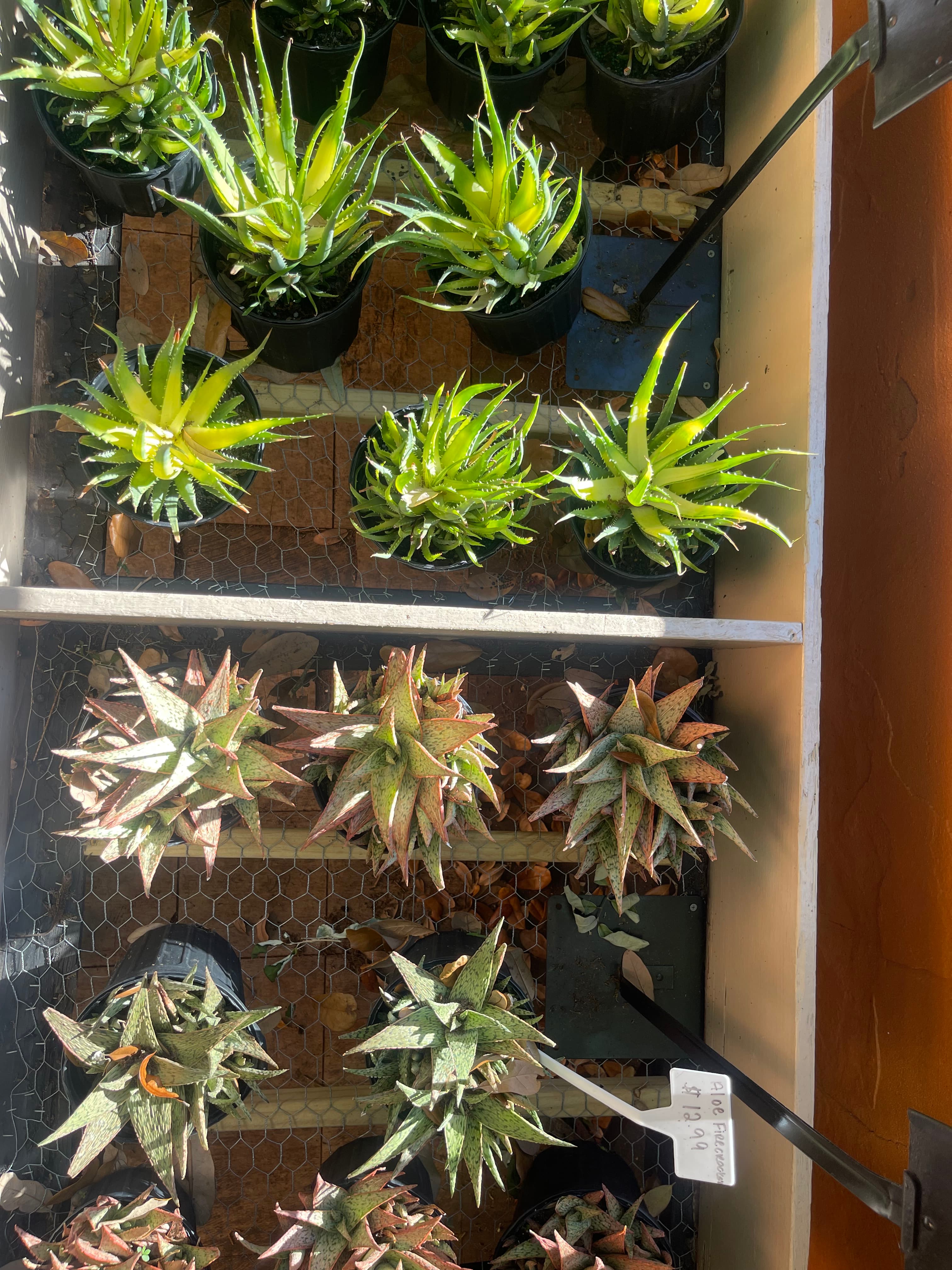 Grown In Dirt Garden Shop Gallery Photo 25