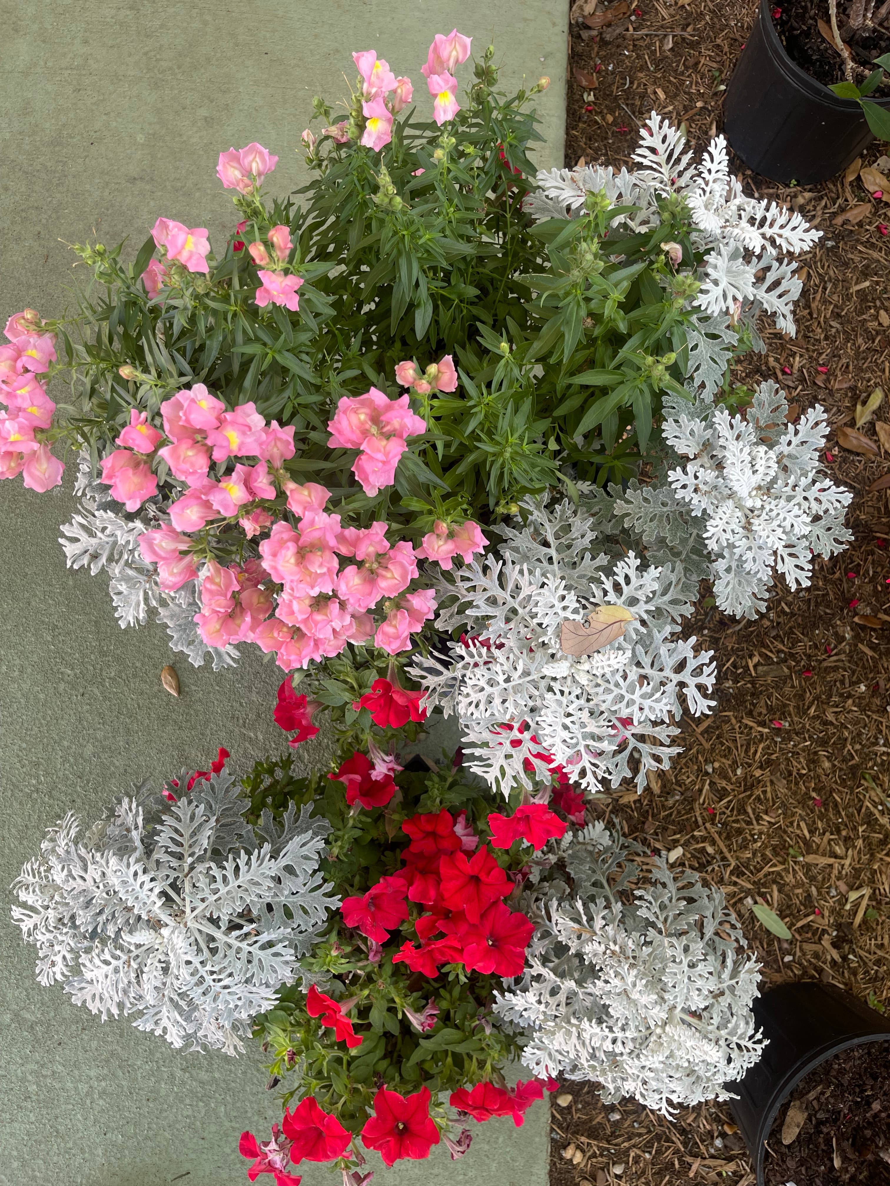 Grown In Dirt Garden Shop Gallery Photo 30