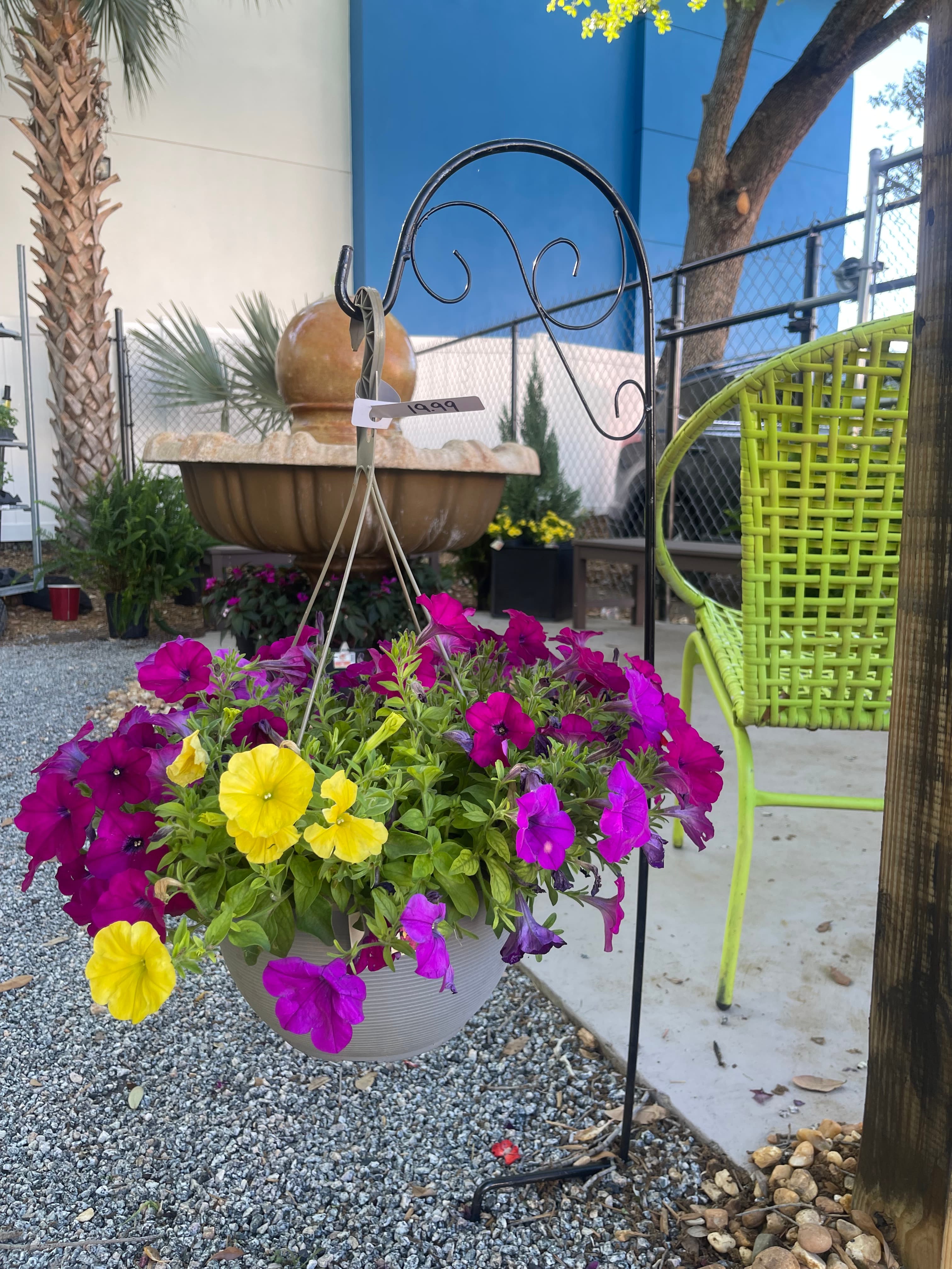 Grown In Dirt Garden Shop Gallery Photo 4