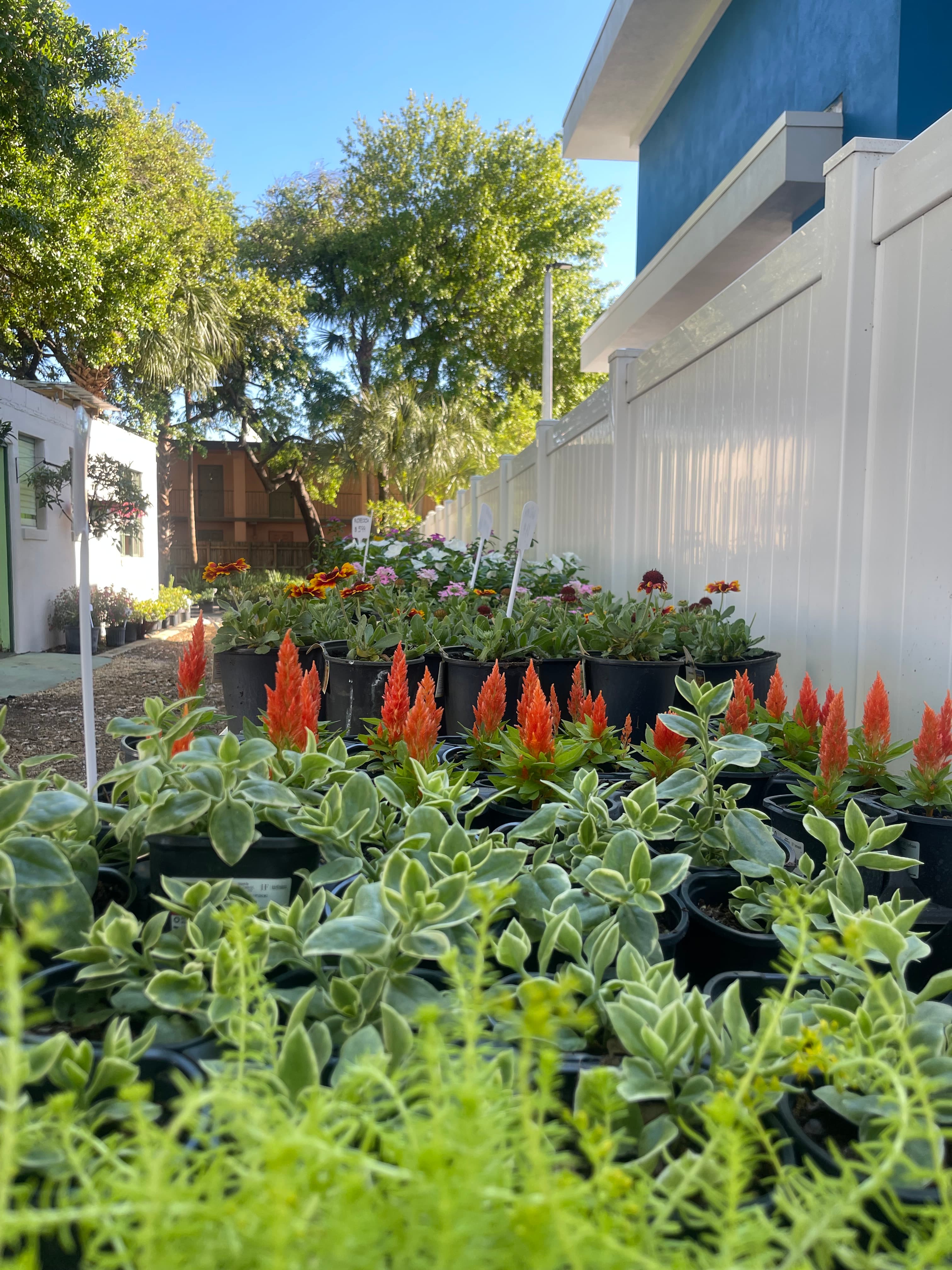 Grown In Dirt Garden Shop Gallery Photo 8