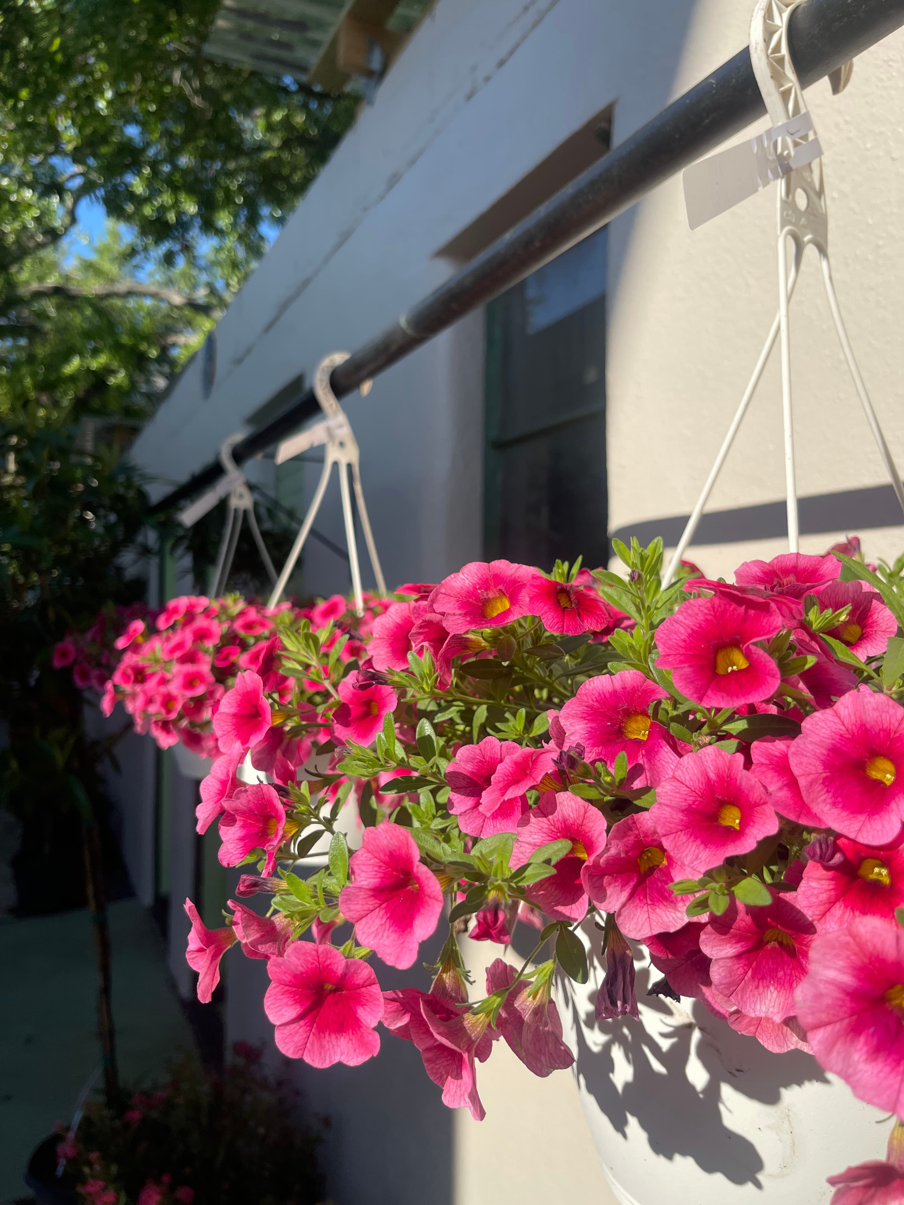 Grown In Dirt Garden Shop Gallery Photo 9