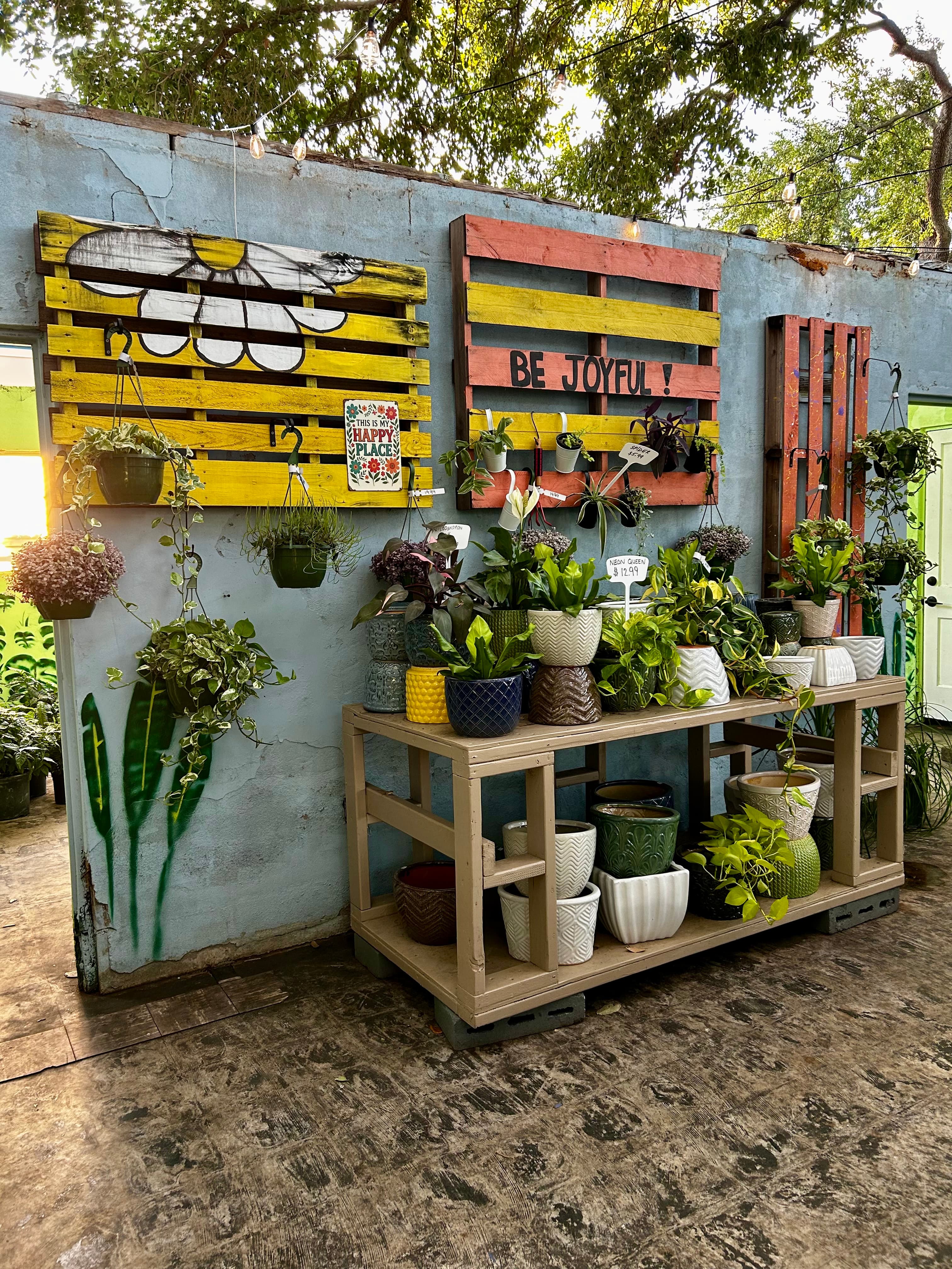 Grown In Dirt Garden Shop Gallery Photo 43