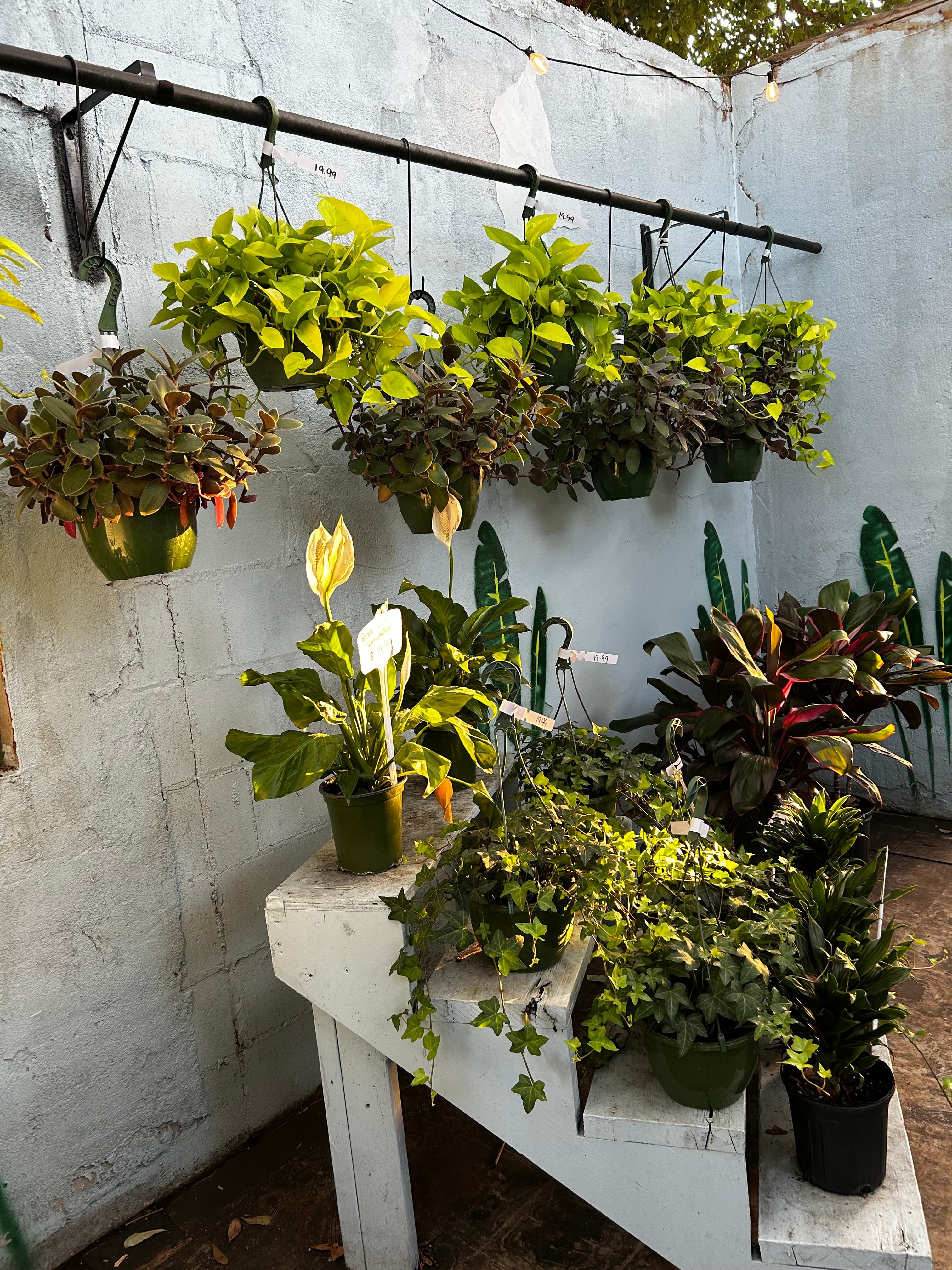 Grown In Dirt Garden Shop Gallery Photo 44