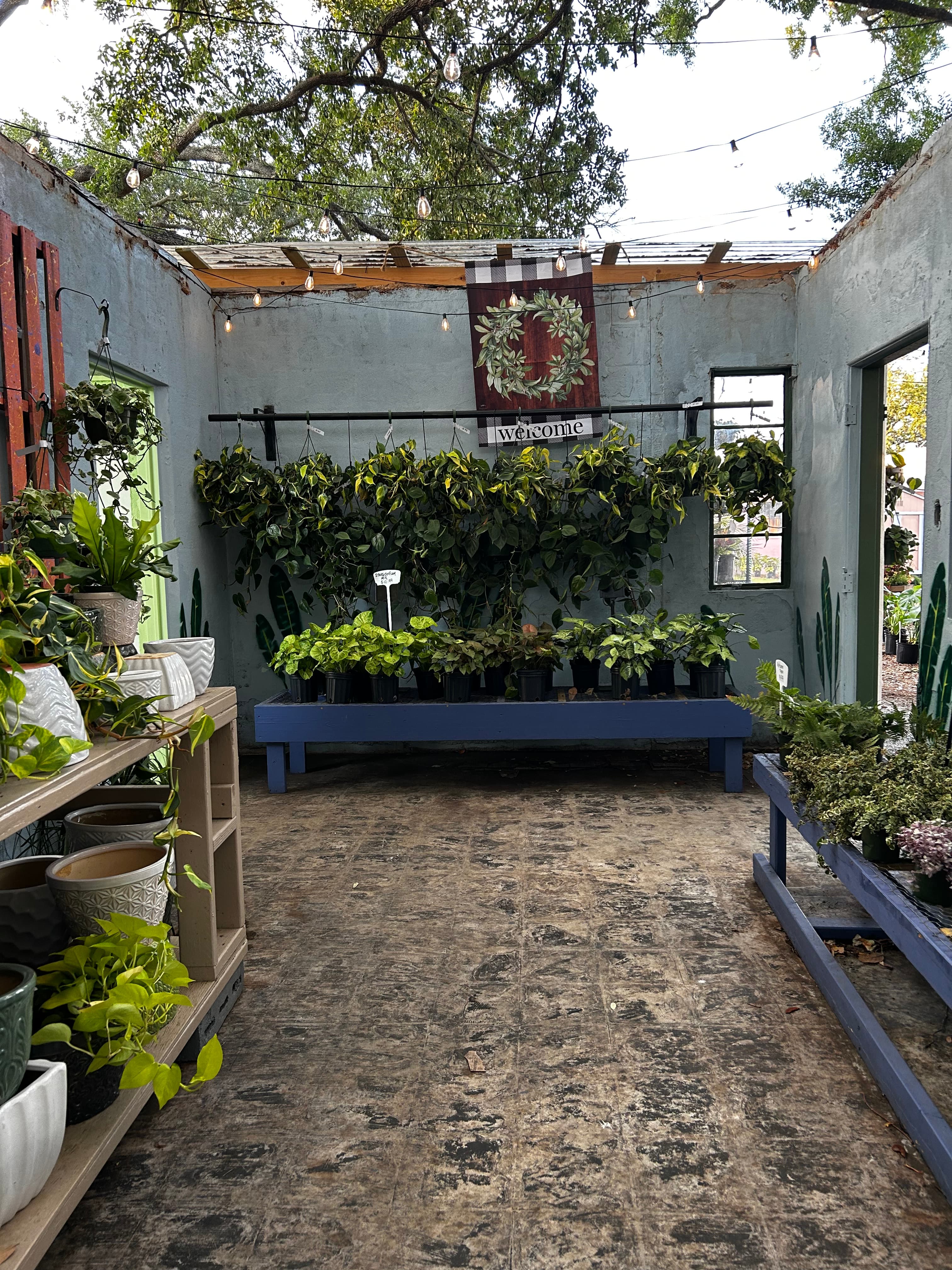 Grown In Dirt Garden Shop Gallery Photo 45