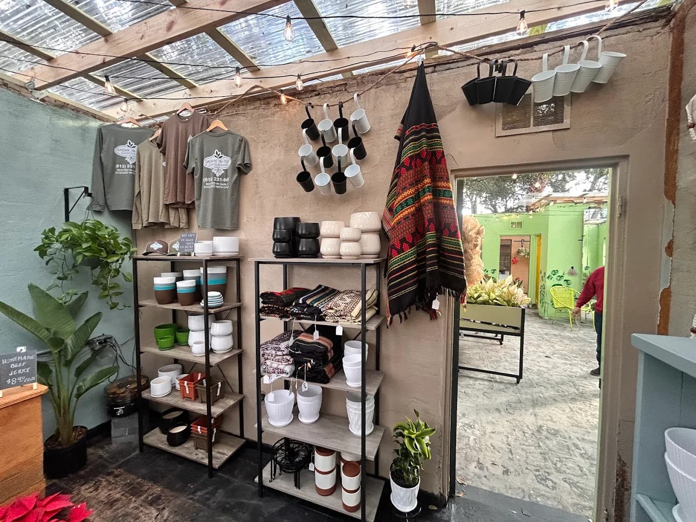 Variety of plants in the shop