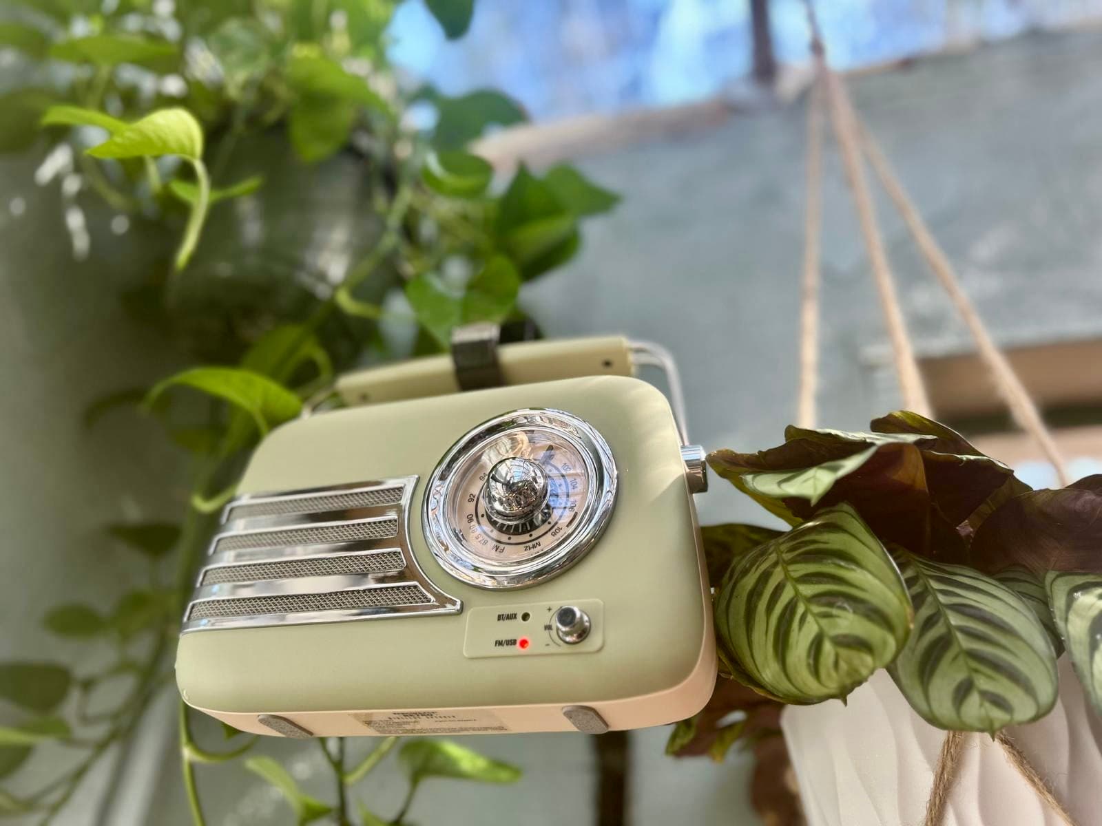 Outdoor plant section