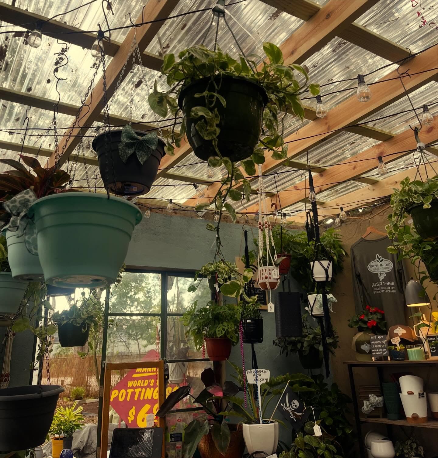 Another view of the shop's interior